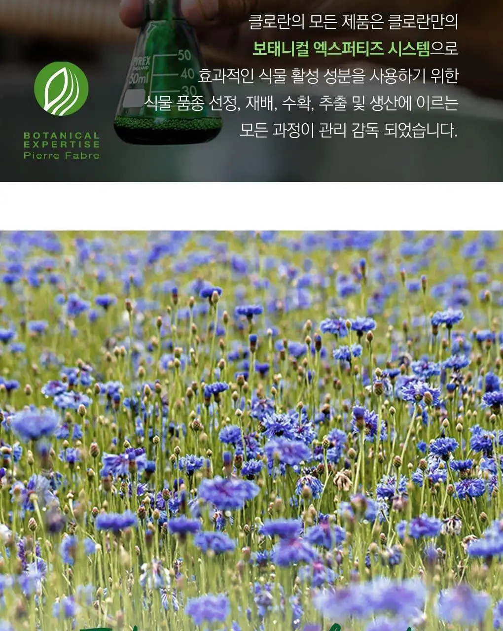 [건조모발 & 지성두피] 클로란 시트러스 스케일링 샴푸 400ml 상세페이지 16